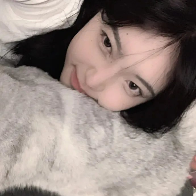 百变小姬子 海报